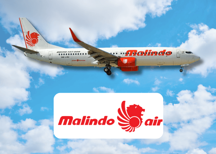 Malindo Air Logo and Exceptional Flight Services
