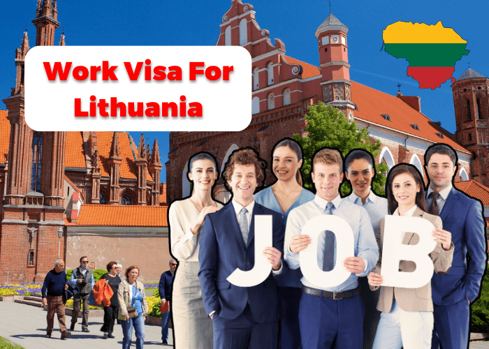 Professional at work in Lithuania with visa documents - Work in Lithuania Visa Services