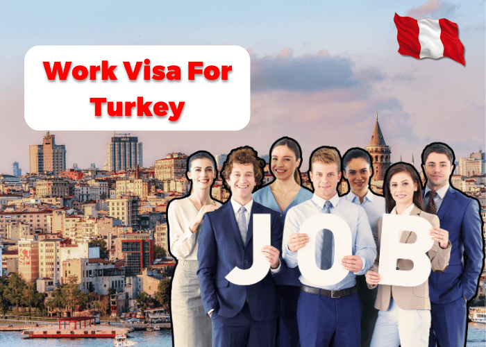 Professional shaking hands with Turkish flag in background - Work in Turkey Visa Services